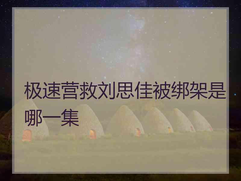 极速营救刘思佳被绑架是哪一集