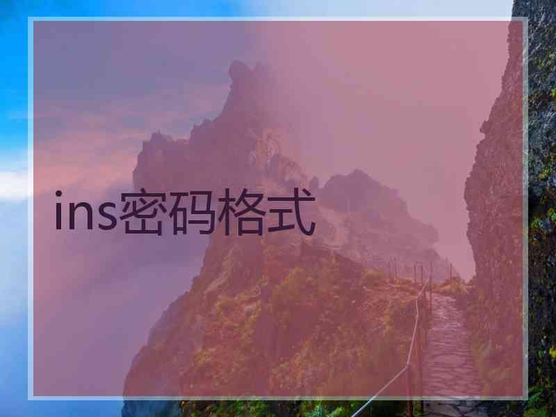 ins密码格式