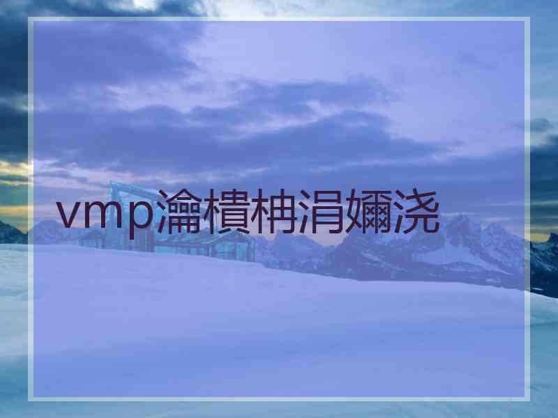 vmp瀹樻柟涓嬭浇