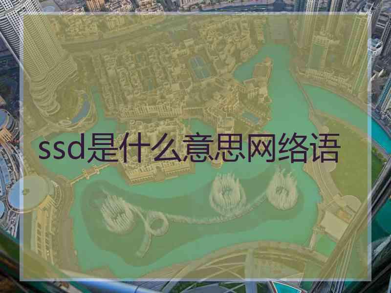 ssd是什么意思网络语