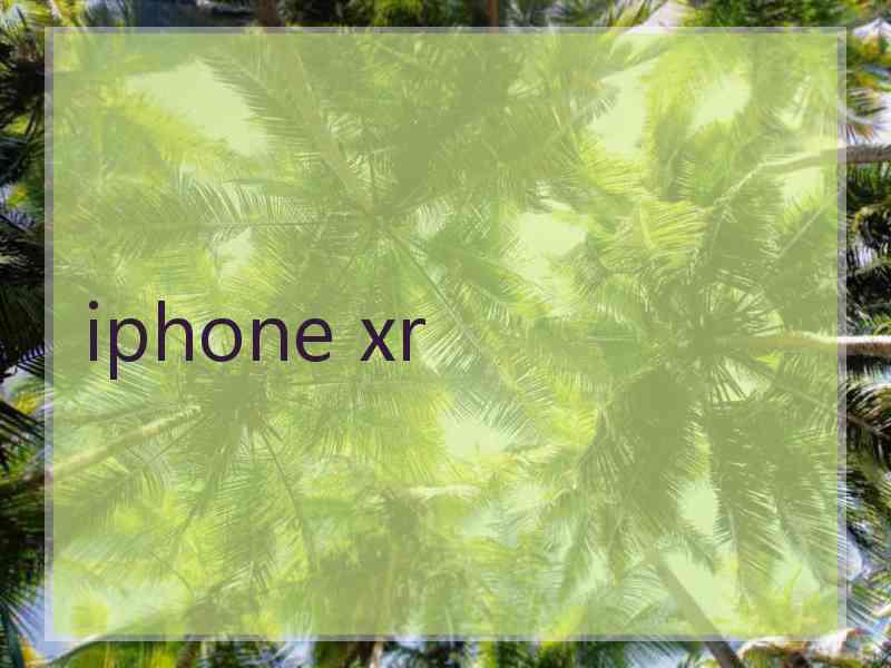 iphone xr