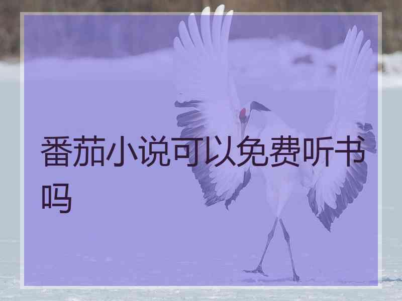 番茄小说可以免费听书吗