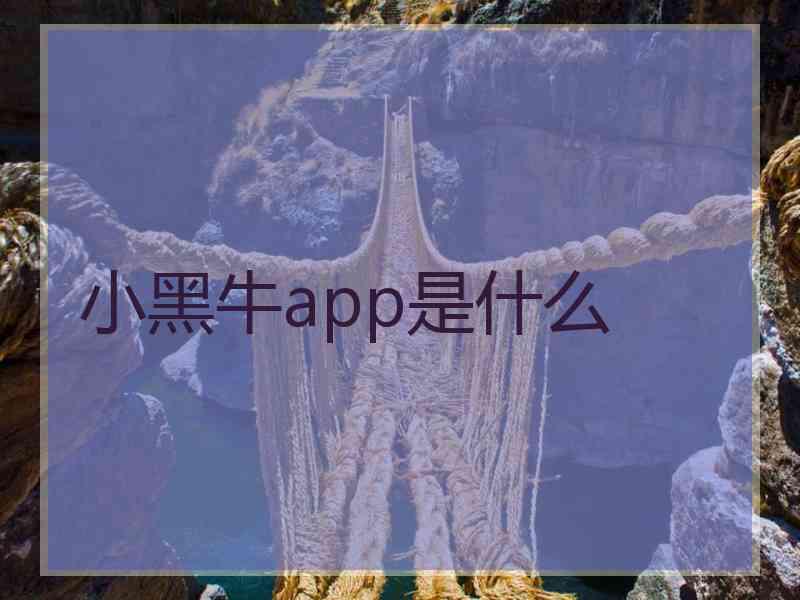 小黑牛app是什么