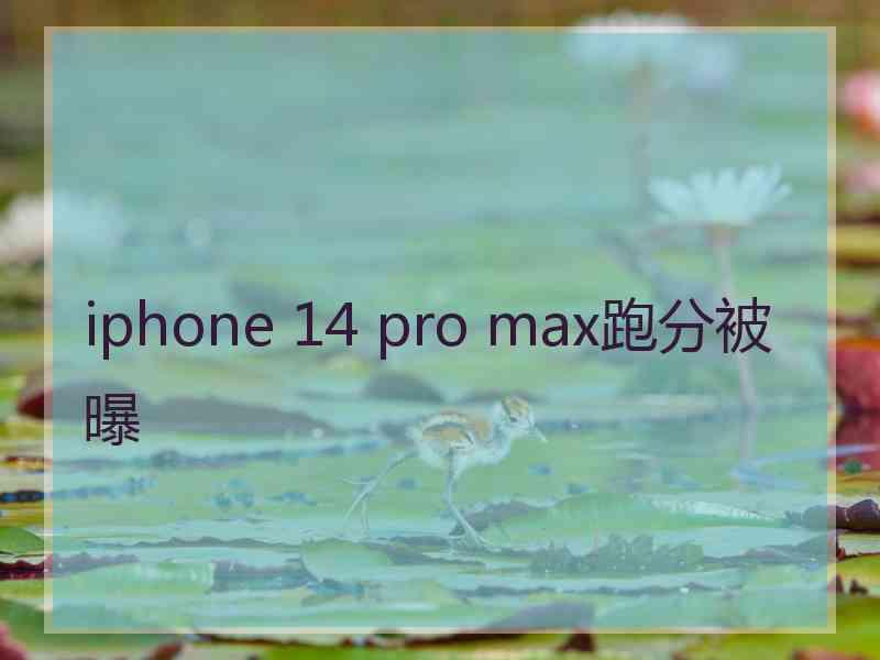 iphone 14 pro max跑分被曝