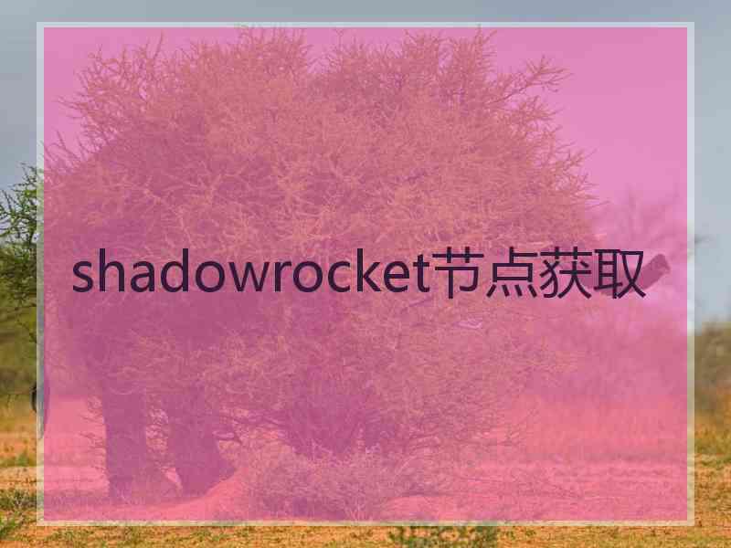 shadowrocket节点获取