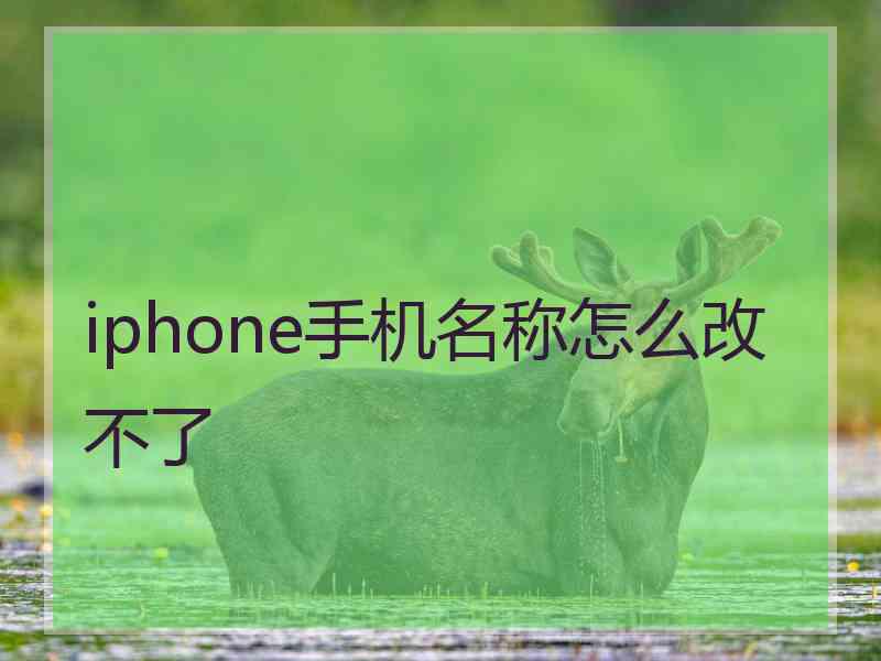 iphone手机名称怎么改不了