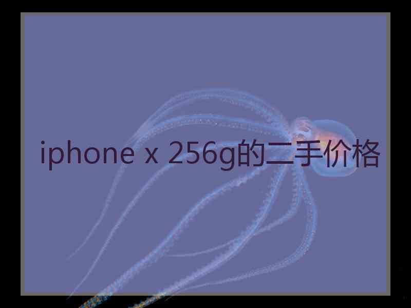 iphone x 256g的二手价格