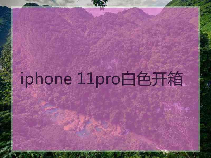 iphone 11pro白色开箱