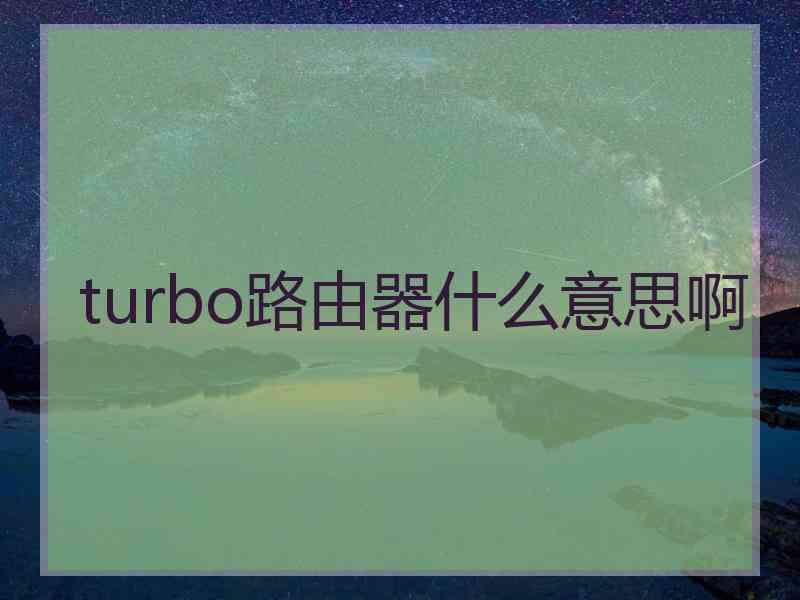 turbo路由器什么意思啊