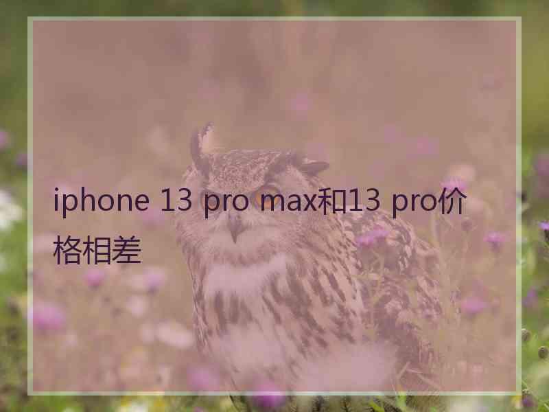 iphone 13 pro max和13 pro价格相差