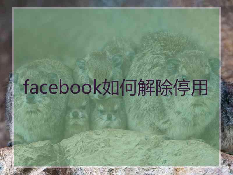 facebook如何解除停用