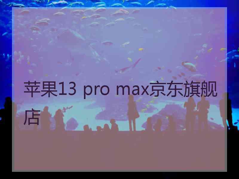 苹果13 pro max京东旗舰店