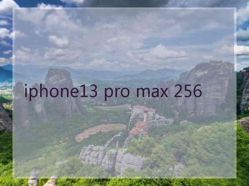 iphone13 pro max 256