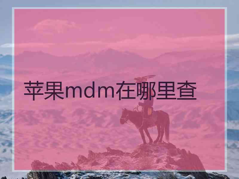 苹果mdm在哪里查