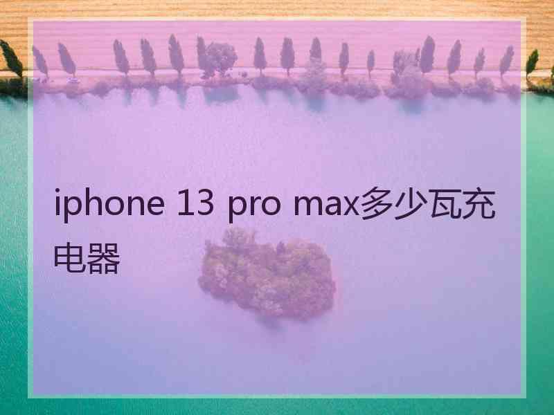 iphone 13 pro max多少瓦充电器