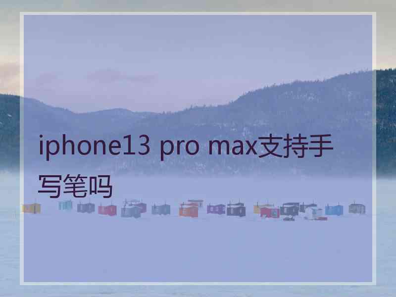 iphone13 pro max支持手写笔吗