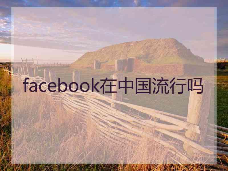 facebook在中国流行吗