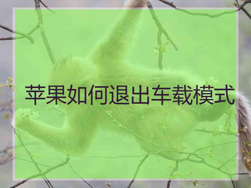 苹果如何退出车载模式