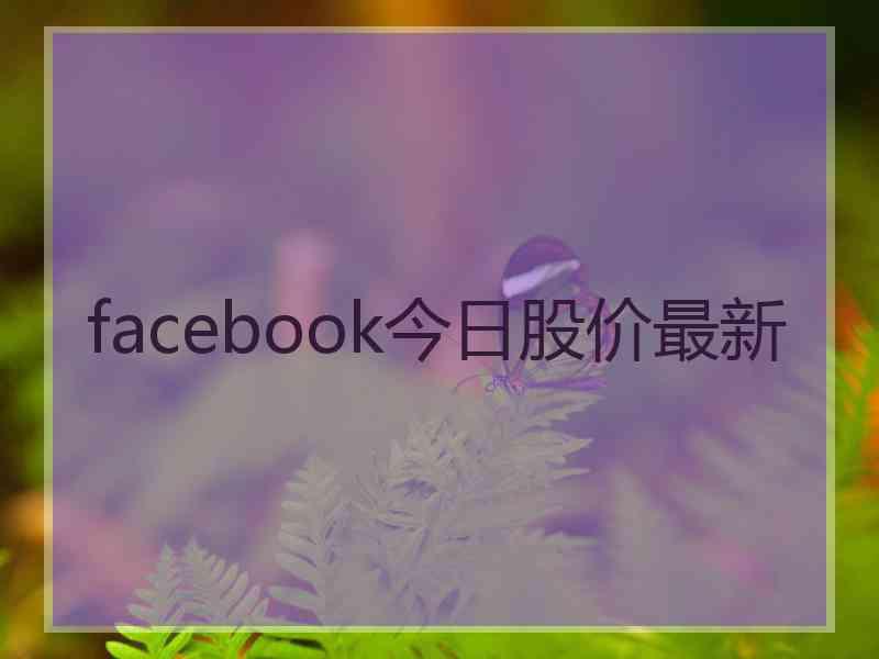 facebook今日股价最新