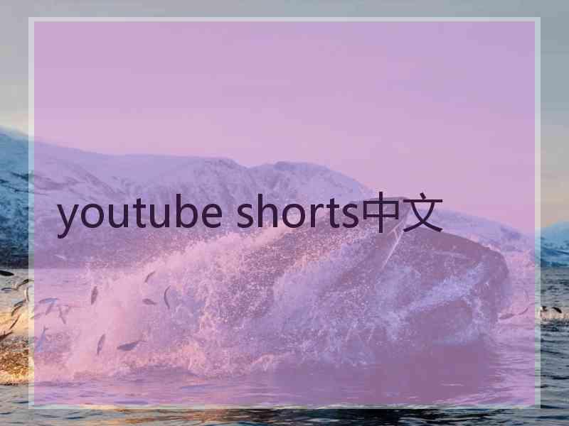 youtube shorts中文