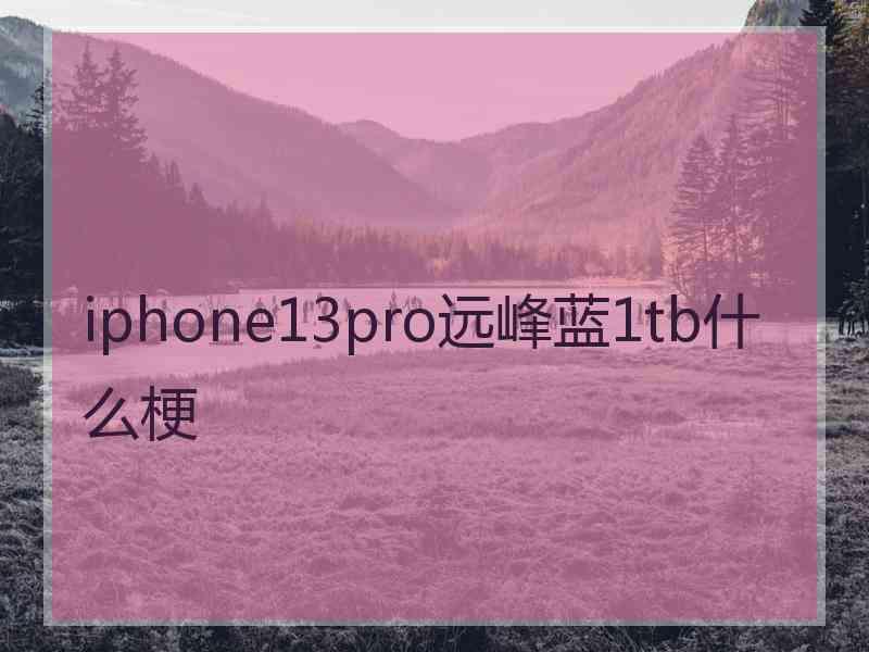 iphone13pro远峰蓝1tb什么梗