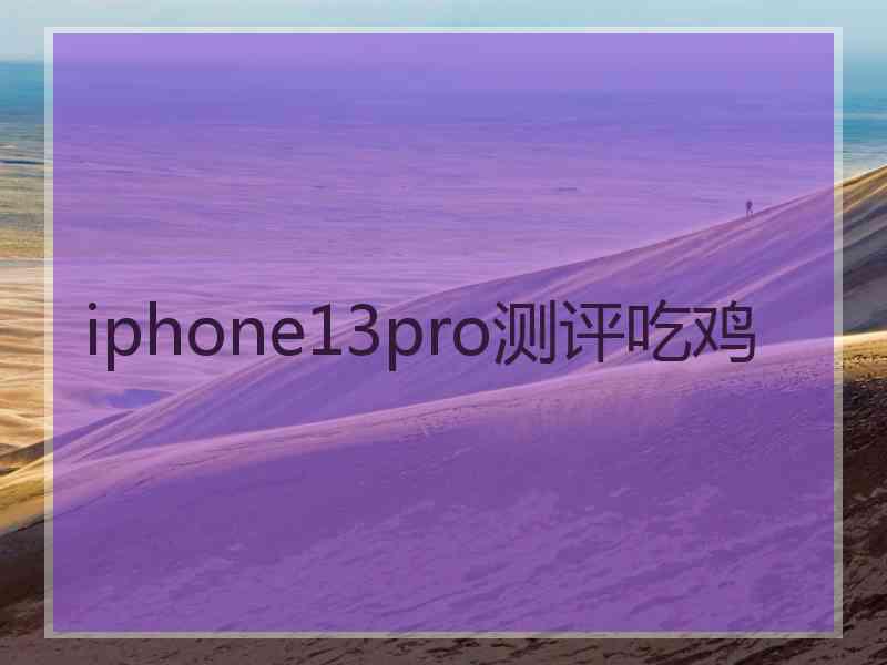 iphone13pro测评吃鸡