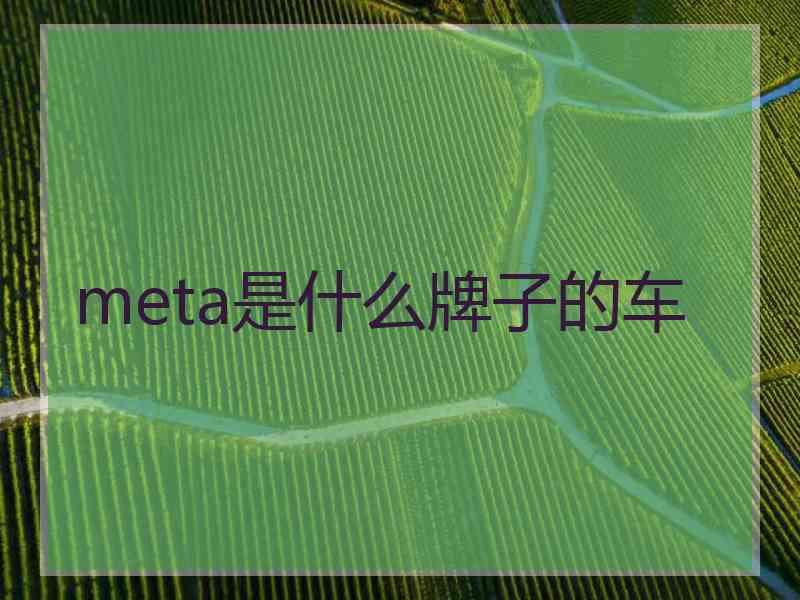 meta是什么牌子的车