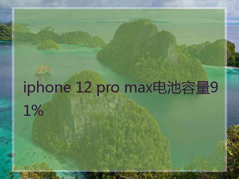 iphone 12 pro max电池容量91%