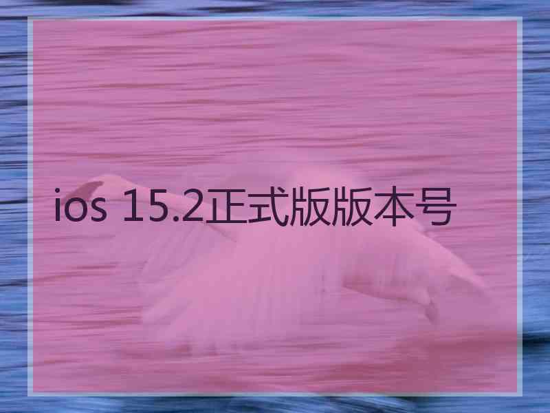 ios 15.2正式版版本号