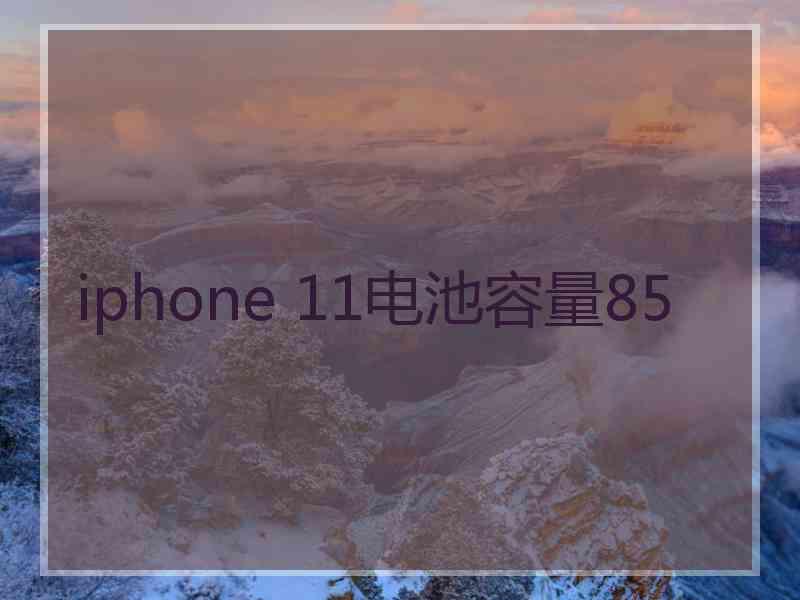 iphone 11电池容量85