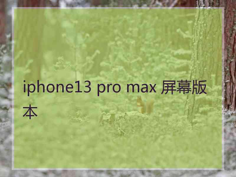 iphone13 pro max 屏幕版本