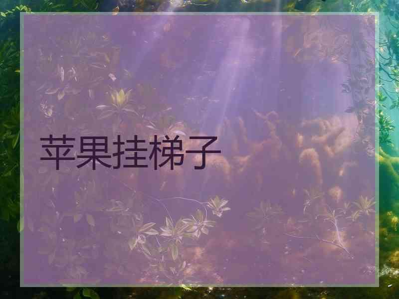 苹果挂梯子