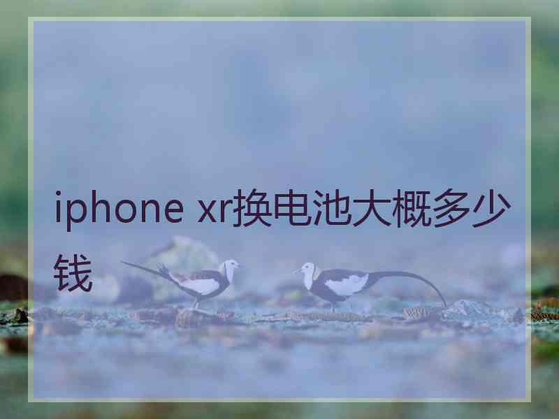 iphone xr换电池大概多少钱