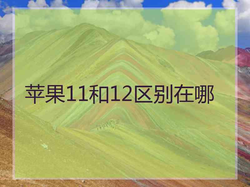 苹果11和12区别在哪