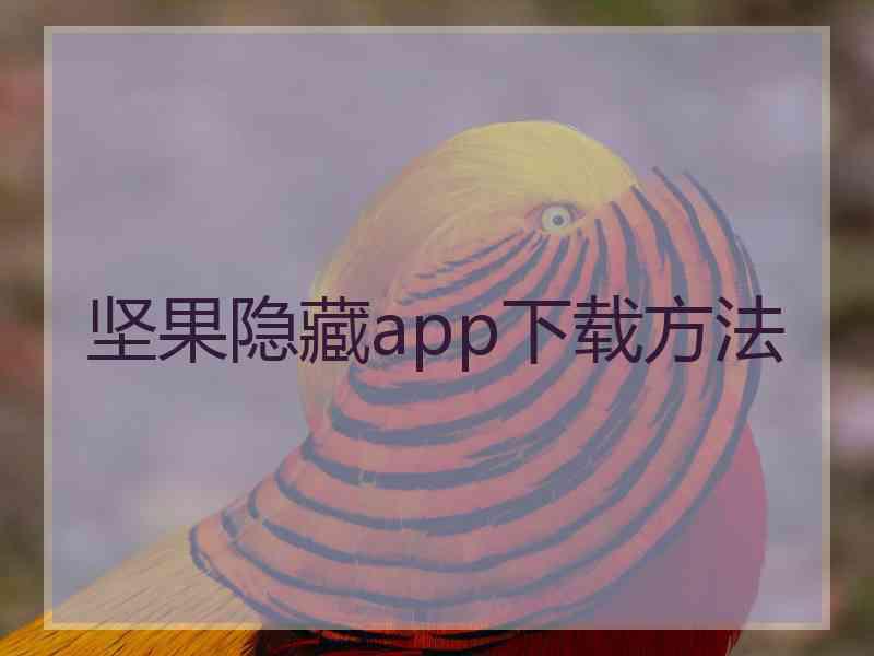 坚果隐藏app下载方法