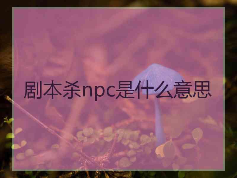 剧本杀npc是什么意思