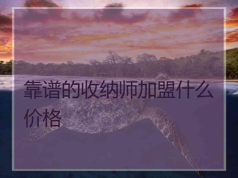 靠谱的收纳师加盟什么价格