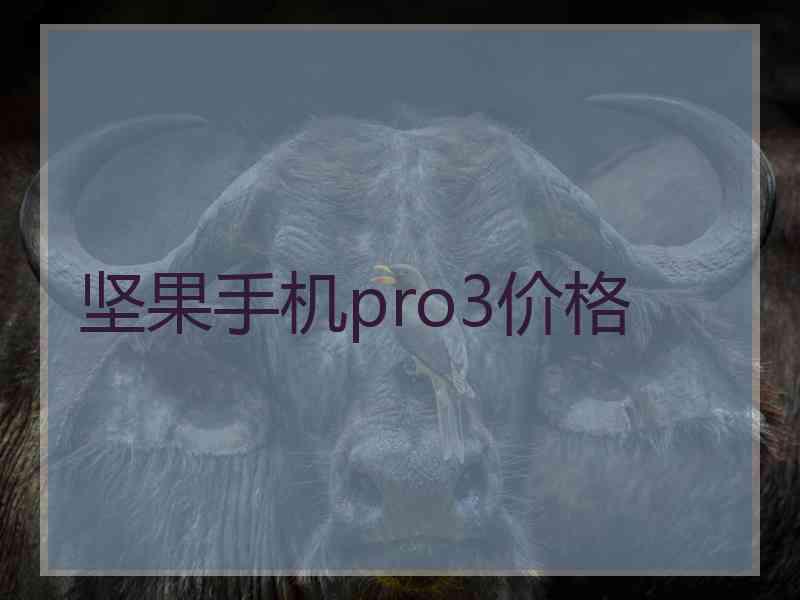 坚果手机pro3价格