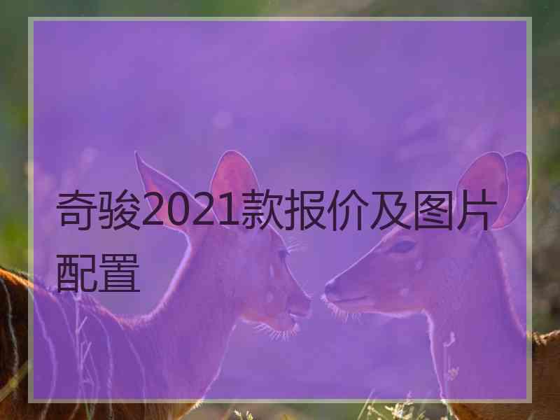 奇骏2021款报价及图片配置