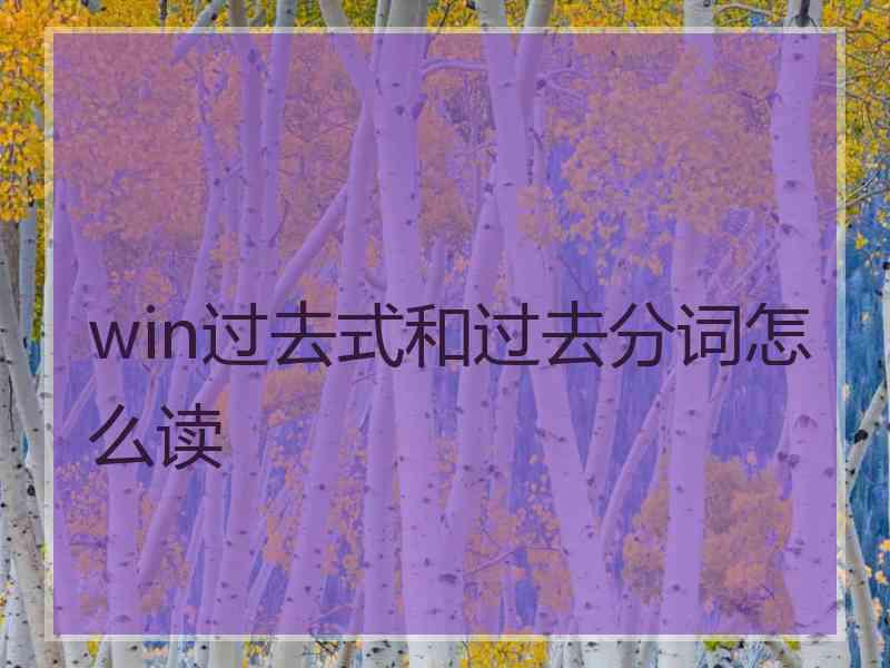 win过去式和过去分词怎么读