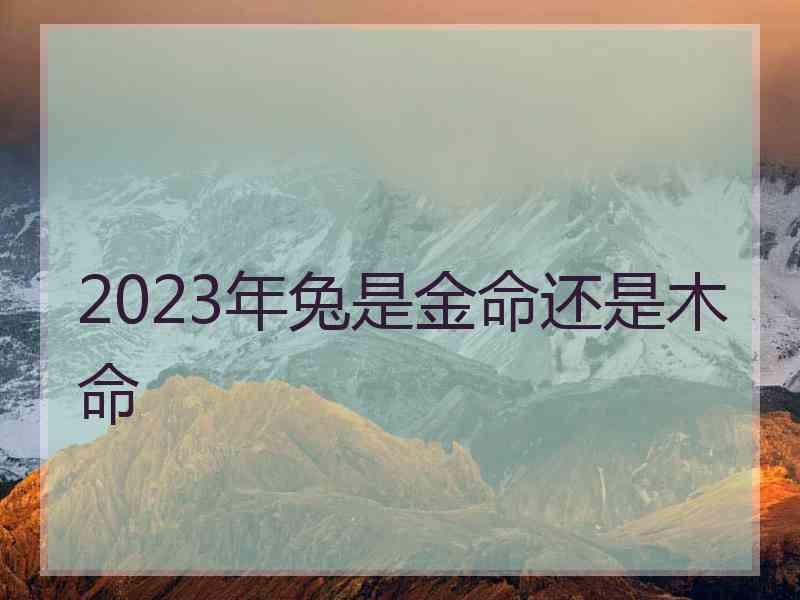 2023年兔是金命还是木命