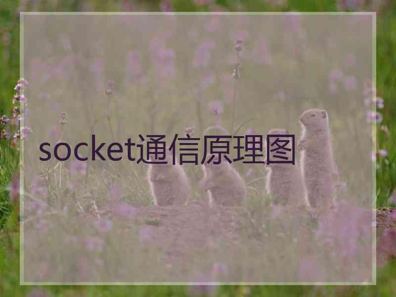 socket通信原理图