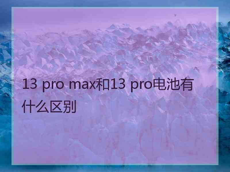 13 pro max和13 pro电池有什么区别