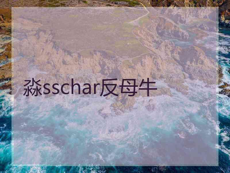 淼sschar反母牛