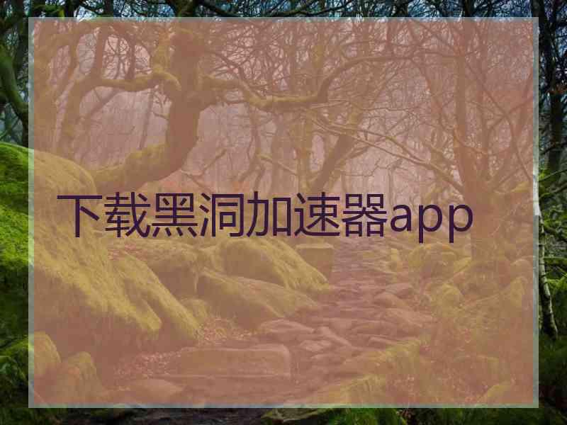 下载黑洞加速器app