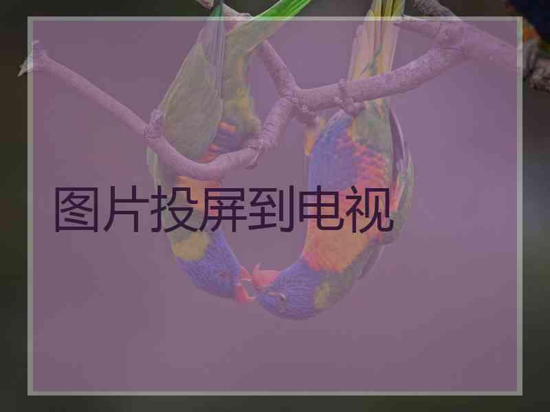 图片投屏到电视