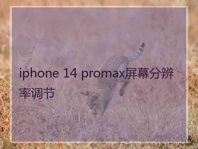 iphone 14 promax屏幕分辨率调节