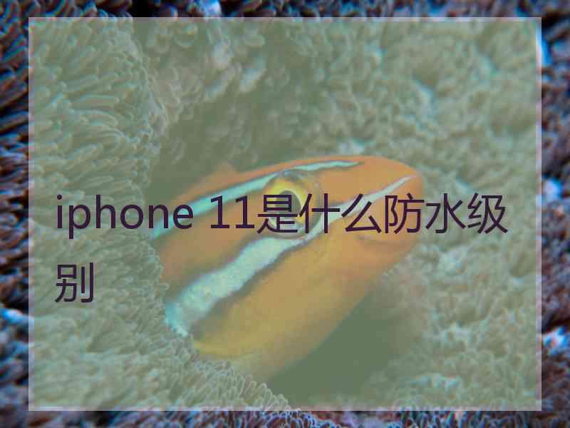 iphone 11是什么防水级别