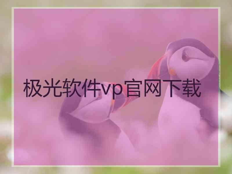 极光软件vp官网下载