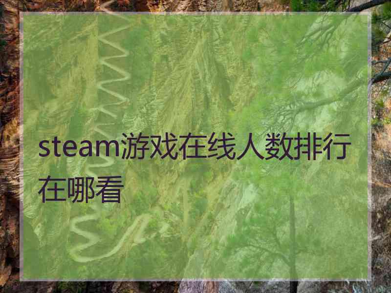 steam游戏在线人数排行在哪看